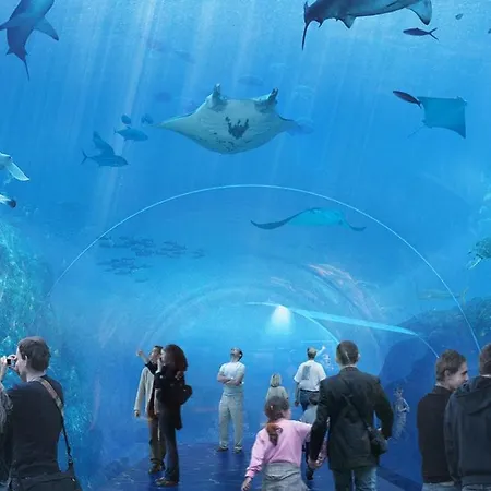 Belle Vue 滨海布洛涅