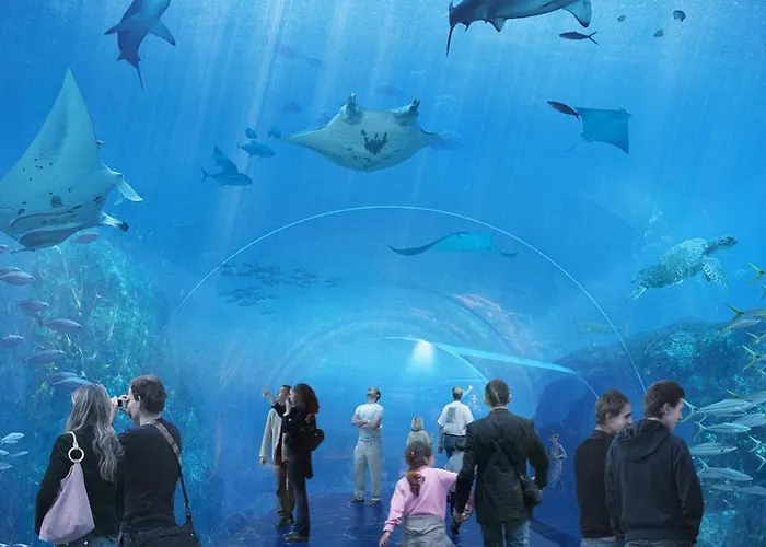 Résidence Belle Vue Boulogne-sur-Mer